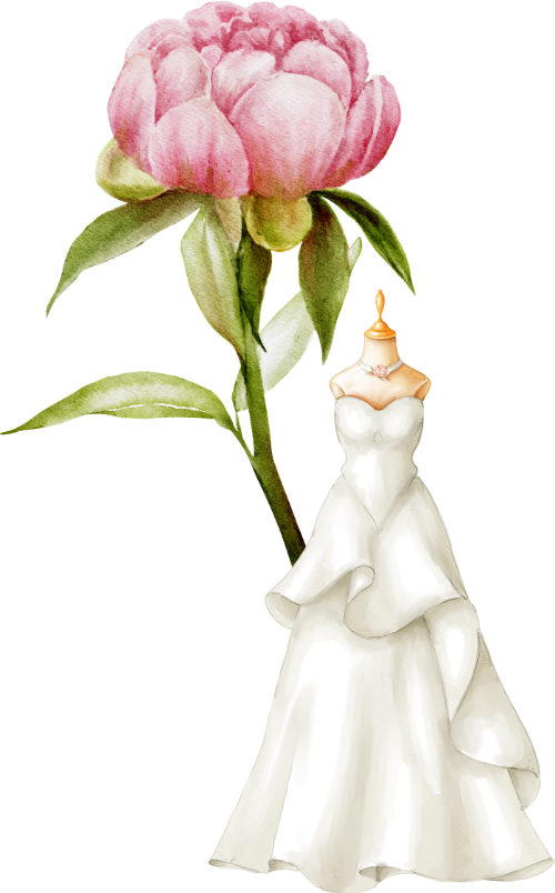 Robe et pivoine ok